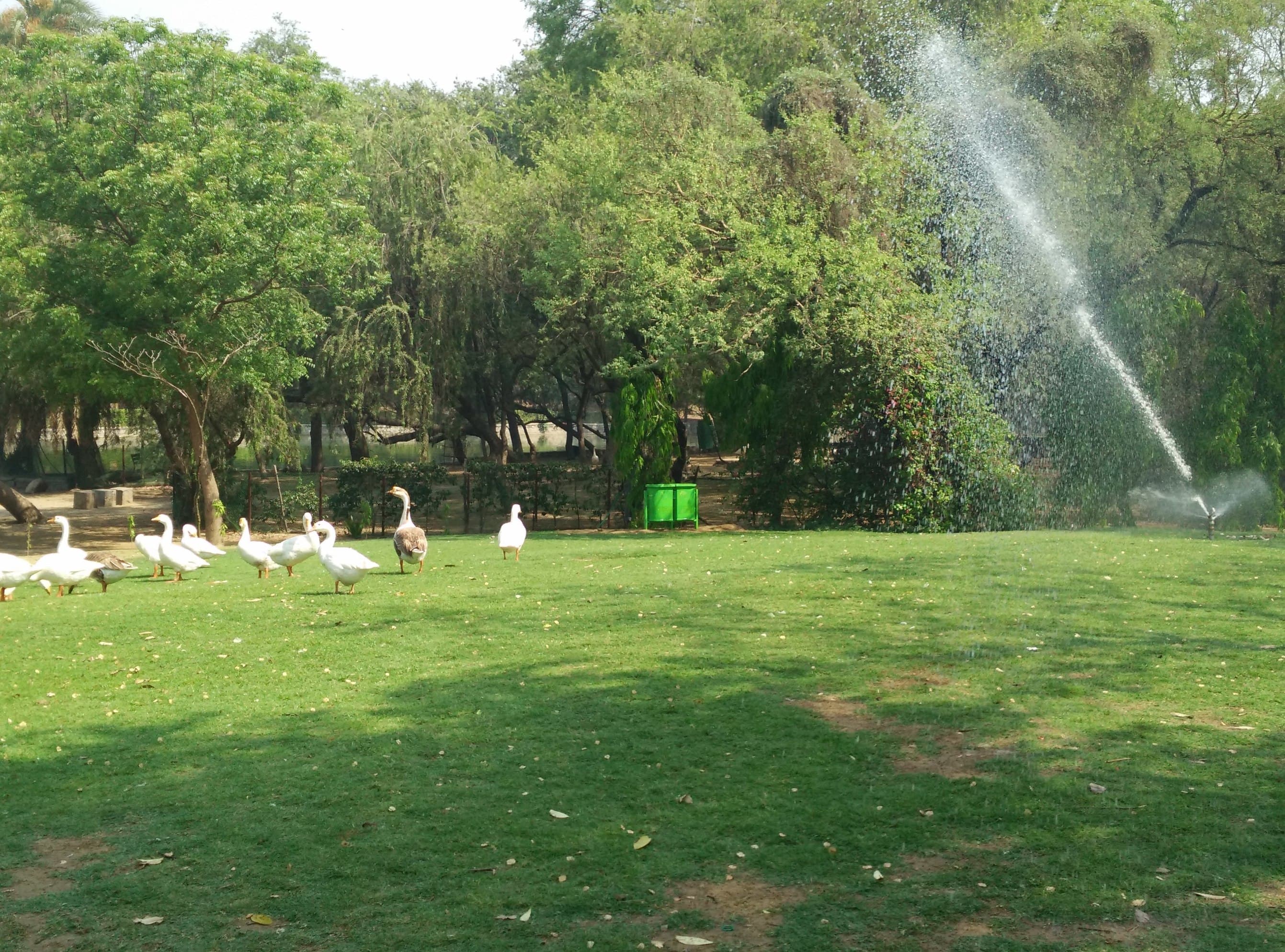 Sunbath + Sprinkler bath = Ultimate bath