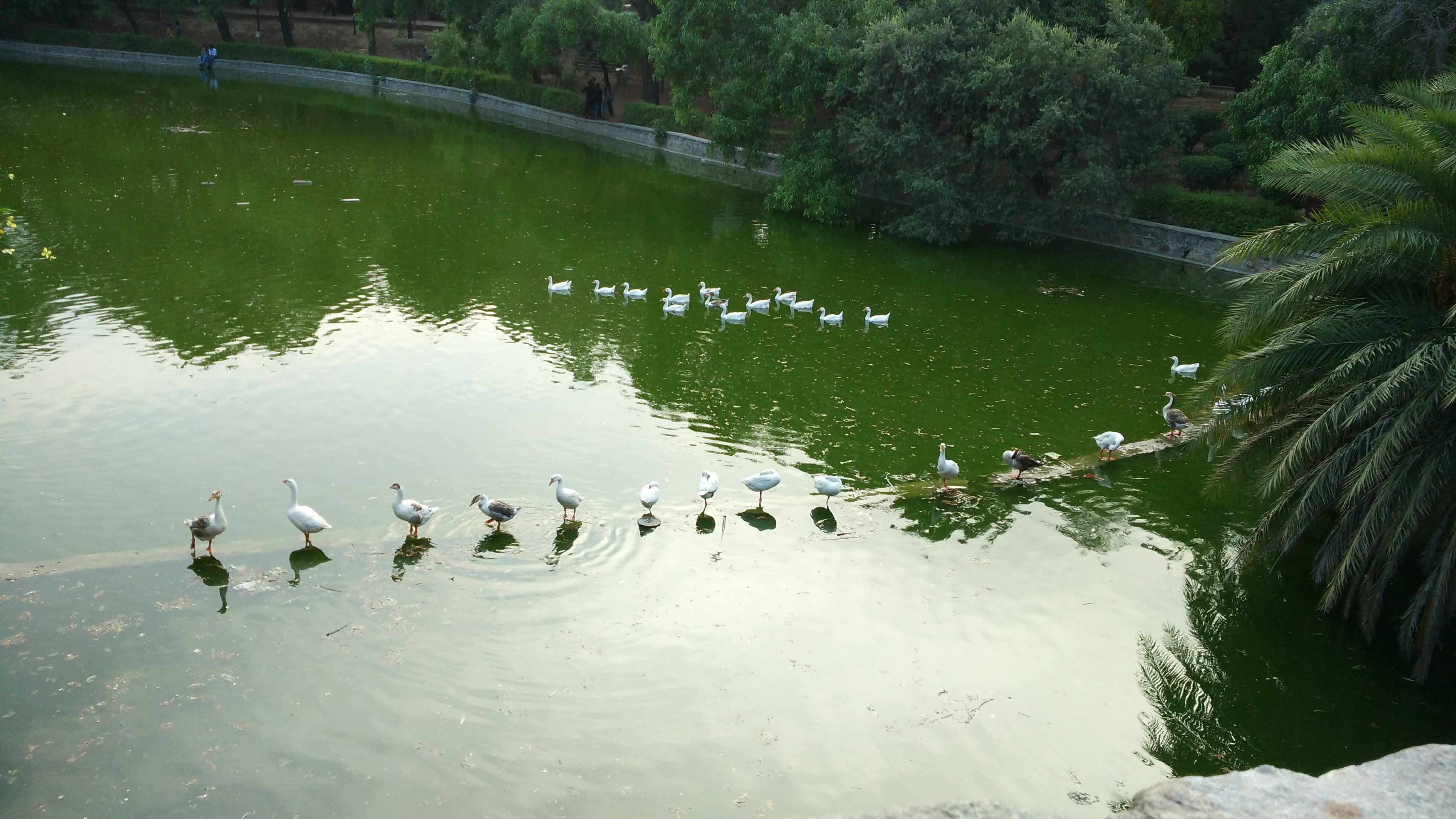 Photoshoot at Lodhi Garden