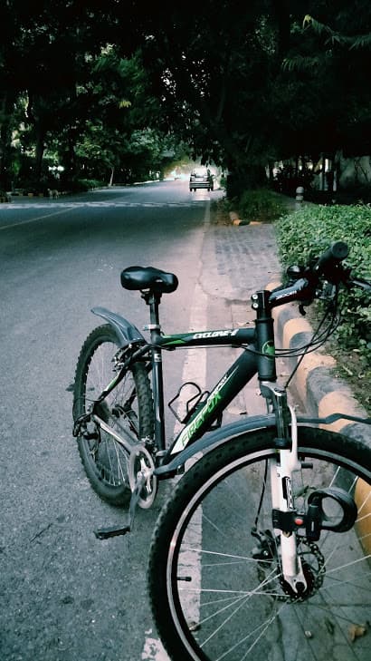 Streets along the Lodhi Garden